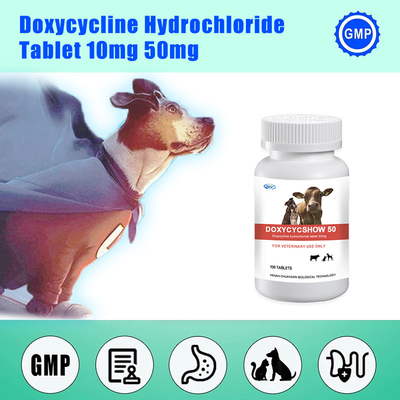 Doxycycline Hcl Veterinary Bolus Tablet 50 มก. ยาสำหรับสัตว์เลี้ยง