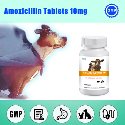 ยาเม็ดลูกกลอนสัตวแพทย์ ยาสัตวแพทย์ Amoxicillin เม็ด 10 มก. ยาต้านไวรัสสำหรับสุนัข