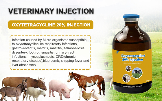 ยาฉีดสัตวแพทย์ Oxytetracycline HCl 20% ฉีดสำหรับวัวแกะแพะสุนัขยาสัตว์