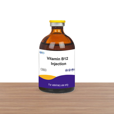ยาฉีดสัตวแพทย์ Sheep Inj Vit B12 วิตามิน B12 แบบฉีดเสริมวิตามินสำหรับม้าโค