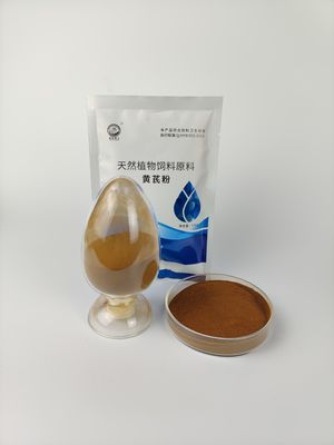 84687-43-4 ยาสิทธิบัตรจีน Astragalus Polysaccharides Solvent Extraction